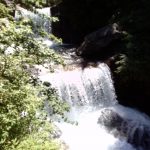 CAM00772